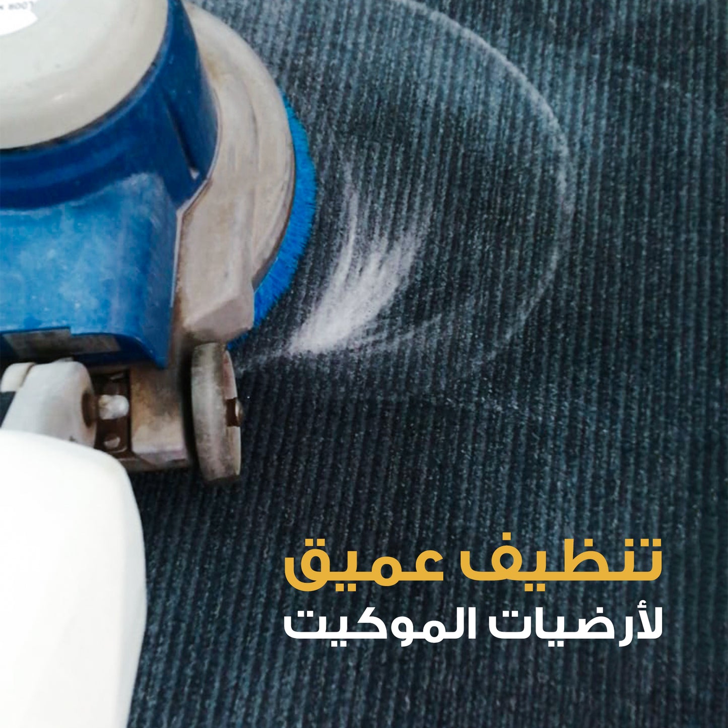 Carpet deep cleaning and sterilization services